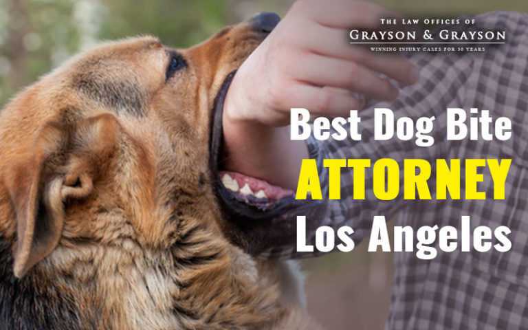 3 Significant Reasons to hire the best dog bite attorney in Los Angeles